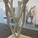 Prototype and boards of CAST THICKET exhibited at CCA / ACADIA conference