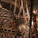 Vasa Museum, Interior