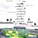 Design for the San Francisco Flower Market (Cesar Arellano)
