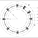 Copyright: Foster + Partners; Apple Inc.
