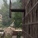 Balcony facing the mountains