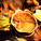 Hot Pot