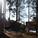 Lusto - Finnish Forest Museum, Punkaharju, 1994 