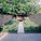 Cabbagetown Garden in Toronto, Canada by PLANT Architect Inc.