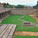 The elemental composition of her courtyard