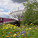 London Olympic Stadium by Populous (Photo: Populous)