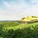 Winning design for the Assembly Hall for the 2014 Summit of the African Union in Libreville, Gabon by WORKac (Image: WORKac)
