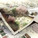 Rendering (Image: HAO / Holm Architecture Office)
