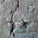 Mortar and Wedge Detail