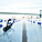 Proposed + Pool by Family and The Office of PlayLab