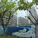 Typ. Megaplot Development