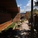 Shaded courtyard