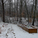 Stone path to the woods
