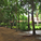 Walking path and Dhamma hall
