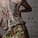 Architecture + Fashion by Madelynn Ringo & Sara Jane Estes
