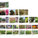 Landscape material diagram (Image: Atelier3AM)
