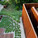 Beach Walk House in Fire Island, NY by SPG Architects