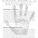Teismann LIONarchitecture Description