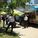 Food truck, Dallas Arts District via Larry Speck.