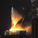 photo of Moscow’s Federation Tower burning via RIA Novosti _ Iliya Pitalev