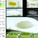 Finalist: Seattle Jelly Bean by PRAUD (United States)