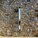 One of the many beautiful concrete openings