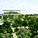 Stavros Niarchos Foundation Cultural Center by Renzo Piano