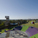 JMDdesign’s latest project, Blaxland Common Regional Playspace