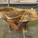 Coffee Table Designed by Dick Yencer