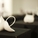 ARCH566 Research Seminar SOA@UIC