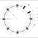 Copyright: Foster + Partners; Apple Inc.
