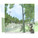 Forest (Image: Koning Eizenberg Architecture/ARUP)