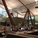 inside osborn [http://www.osborn320.com/]