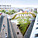 Exterior visualization (Image: JDS Architects)