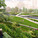 Finalist: Workshop: Ken Smith Landscape Architect, Ten Eyck Landscape Architects, and Rogers Marvel Architects