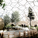 View of winter garden on the roof (Image: Djuric Tardio - Scriptogram.com)
