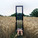 Emerging Talent Jury Winner: Mark Harless - Embrace the Unknown