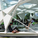 Serpentine Gallery Pavilion, 2002, London, U.K. 