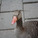 DUCK!