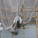 Bamboo scaffolding in Kwun Tong.