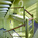 Van Meter Hall Renovation, UMass Amherst in Amherst, MA by HMFH Architects Inc. (Photo: Ed Wonsek)