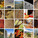 References (Image- LAVA)