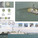 Environmental Impact, Third Place: REGENERATE FT. CARROLL: a gateway ecological park, Baltimore, United States