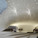 SDA | Synthesis Design + Architecture