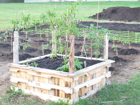 Lierman neighborhood Community garden Dedicated this past weekend, all recycled materials, all volunteer built.