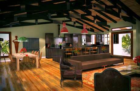Living Room Design / Kitchen remodel