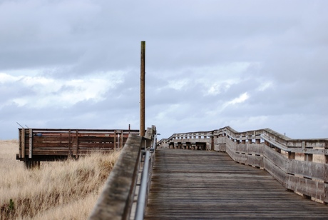 The Board Walk