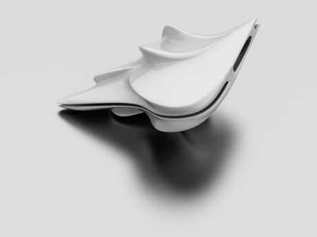 Bird Wing