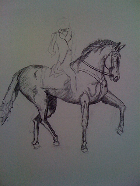 Freehand Drawing 