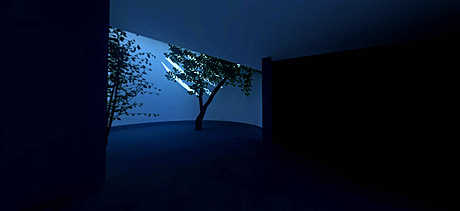 bronx zoo render test